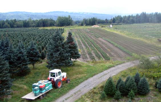 View of Weir Tree farms